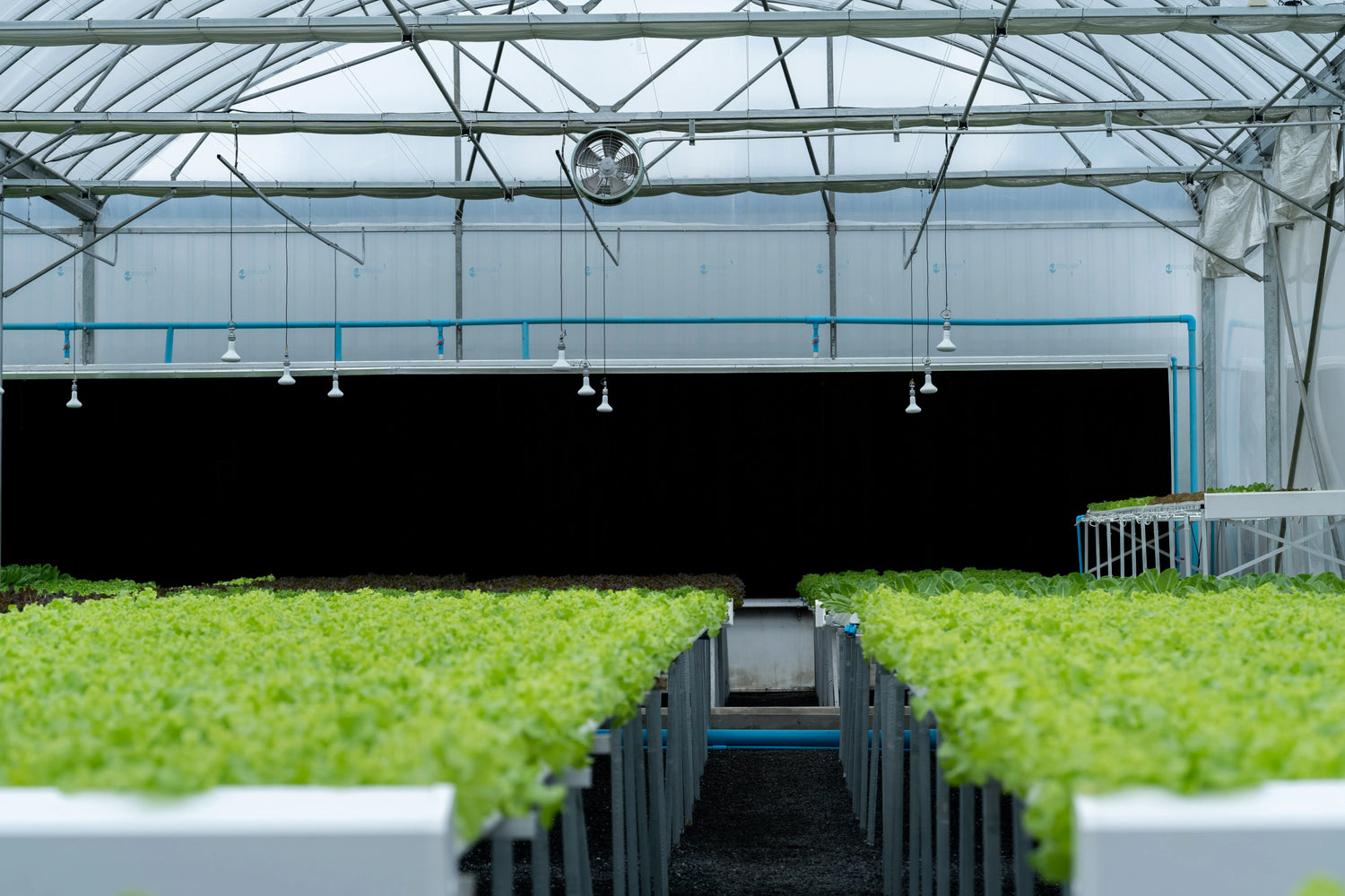 Grow Tents