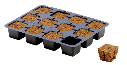 Eazy Plug - 12 Propagation